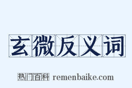 玄微反义词是什么意思的图片